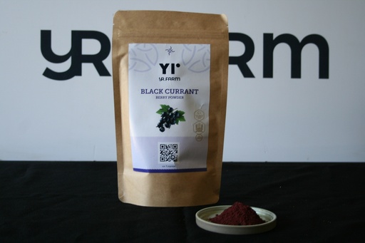 [HL-P.BLACKC-200G] Black current powder