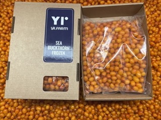 [CL-F.SEABUCK-1K] Seabuckthorn frozen